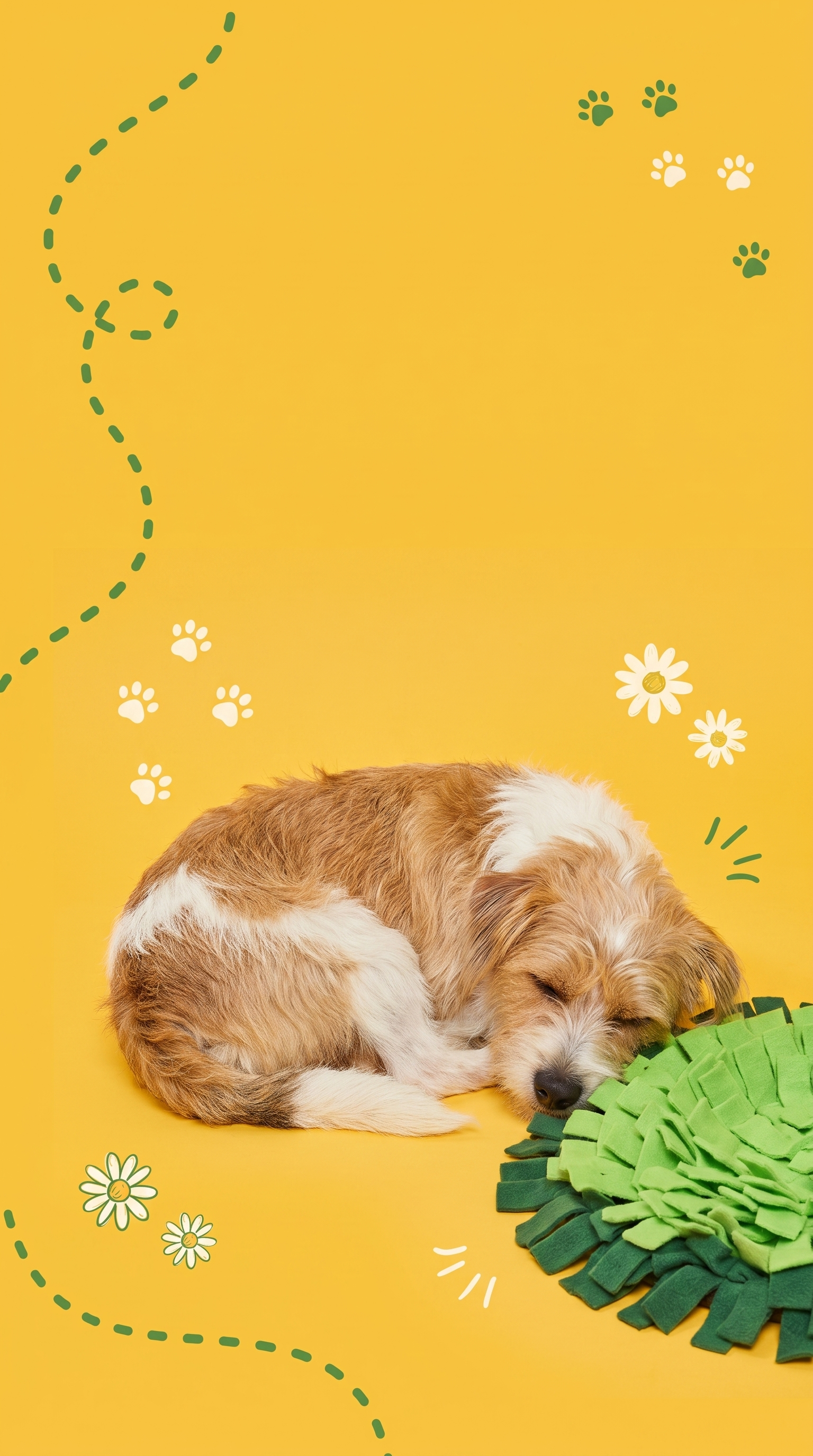 Calm, content dog resting by the mat